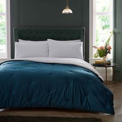 Immagine di Austell Teal 220x150cm BS