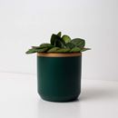 Picture of Cache-pot vert fougére