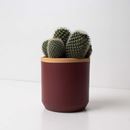 Picture of Cache-pot rouge prune