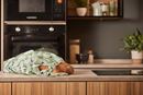 Immagine di Woolly Sheep Packable Bag - Ulster Weavers