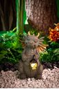 Image sur Babydrache Umi mit Solarlicht