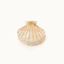 Bild von Haarklammer Muschelform Pearl - by vivi.