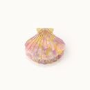 Bild von Haarklammer Muschelform Rainbow - by vivi.