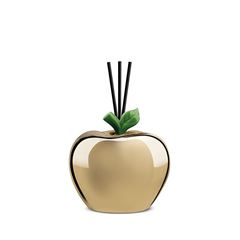 Bild von SCENT DIFFUSER APPLE GLOSSY GOLD CM 8X8