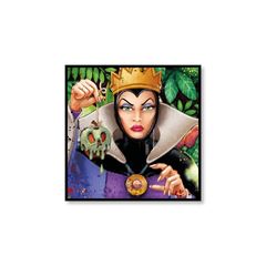 Bild von HOME DECOR MALEFICENT CM 50X50