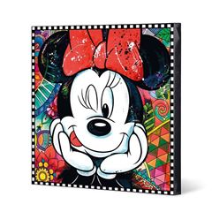 Bild von HOME DECOR MINNIE F&E 70X70
