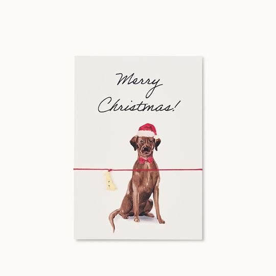Bild von Armband-Karte: Brown Christmas Labrador - by vivi.