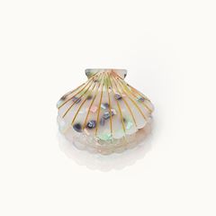 Bild von Haarklammer Muschelform Esmerald - by vivi.