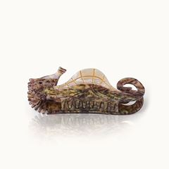 Image de Haarklammer Seahorse Brown - by vivi.