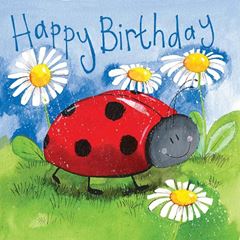 Bild von LITTLE LADYBIRD BIRTHDAY CARD