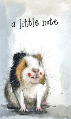Image de A LITTLE NOTE GUINEA PIG