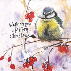 Bild von BLUE TIT