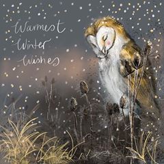 Bild von BARN OWL IN THE SNOW