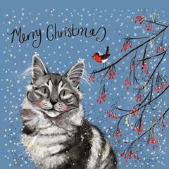 Bild von CAT AND BERRIES