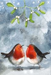 Bild von ROBINS & MISTLETOE