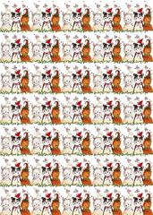 Bild von CHRISTMAS CAT WRAP