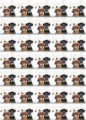 Bild von CHRISTMAS DOG WRAP