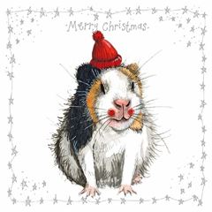 Bild von GUINEA PIG & WOOLY HAT