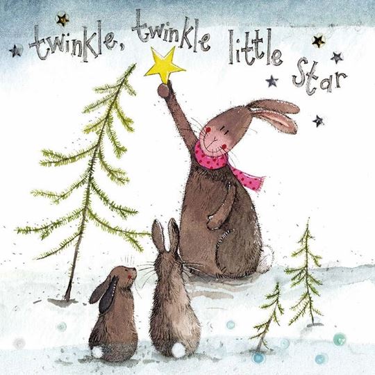 Bild von TWINKLE TWINKLE
