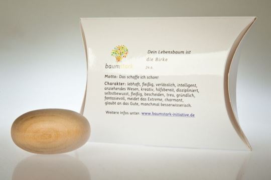 Immagine di Handschmeichler Birke mit Baumhoroskop von baumstark