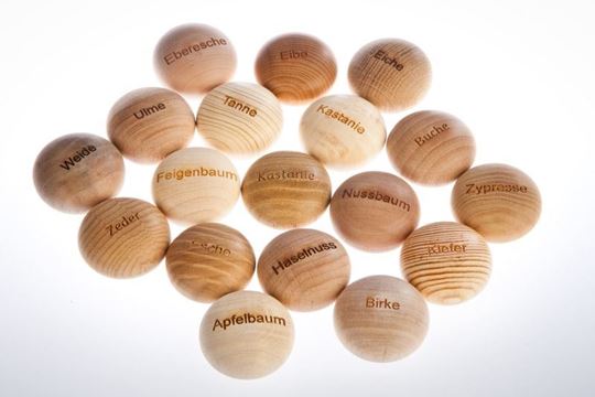 Image sur Handschmeichler Apfelbaum mit Gravur von baumstark, VE-4