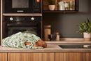 Bild von Woolly Sheep Packable Bag - Ulster Weavers