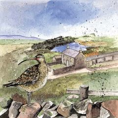 Bild von CURLEW'S REST BLANK CARD