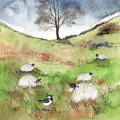 Bild von SHEEP & SYCAMORE BLANK CARD