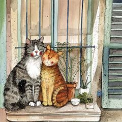 Bild von PROVENCE CATS BLANK CARD