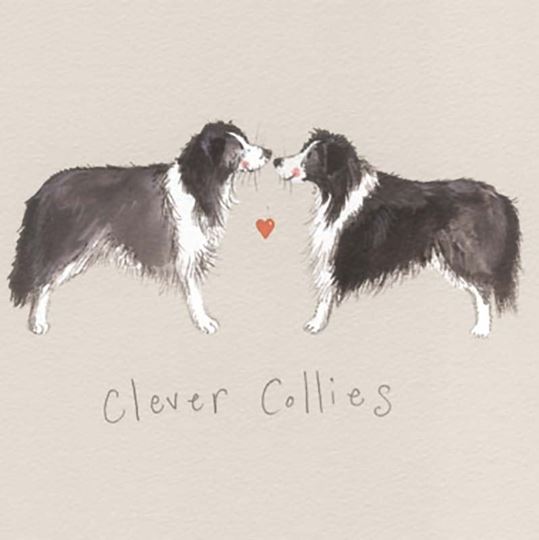 Bild von CLEVER COLLIES