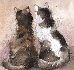 Bild von TILLY AND TABBY