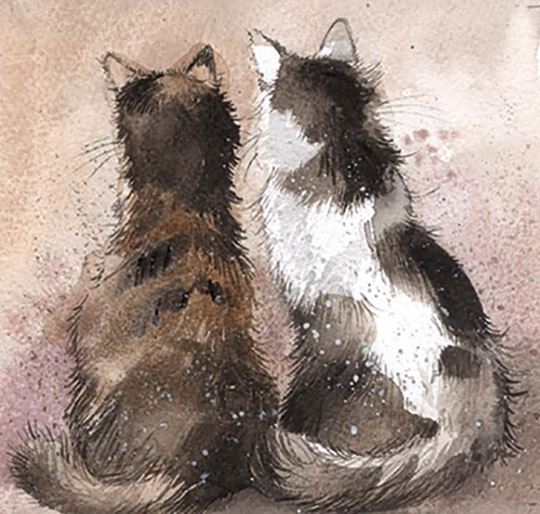Bild von TILLY AND TABBY