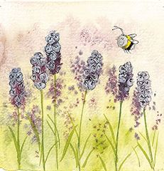 Bild von LAVENDER