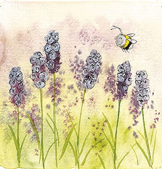 Bild von LAVENDER