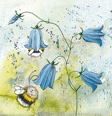 Bild von HAREBELL