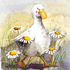 Bild von DUCK IN THE DAISIES COASTER