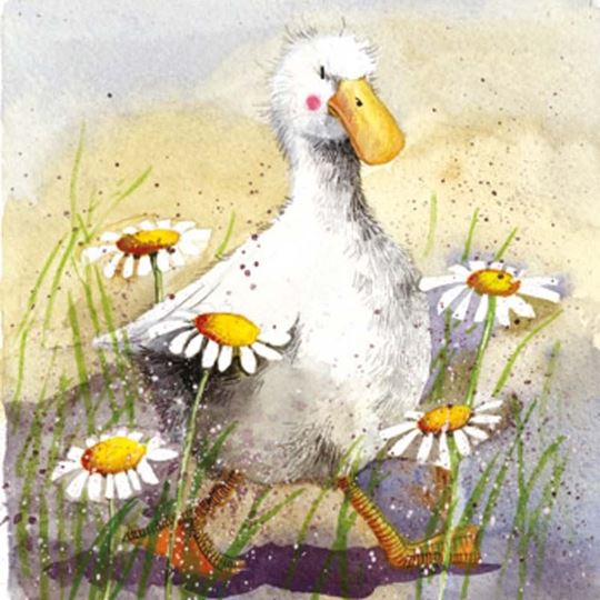 Bild von DUCK IN THE DAISIES COASTER