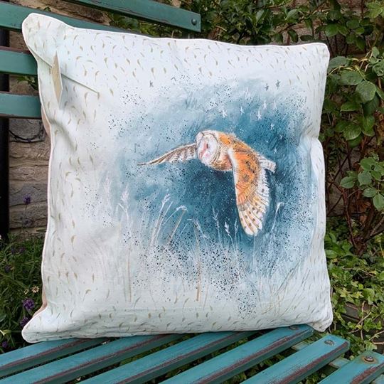 Bild von BARN OWL