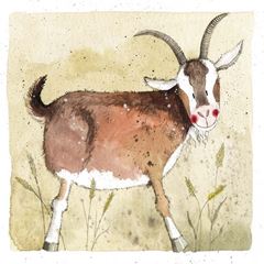 Bild von GARY CARD