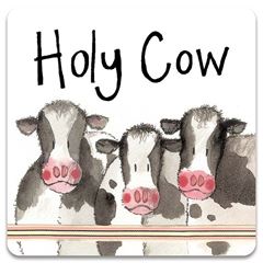 Immagine di HOLY COW