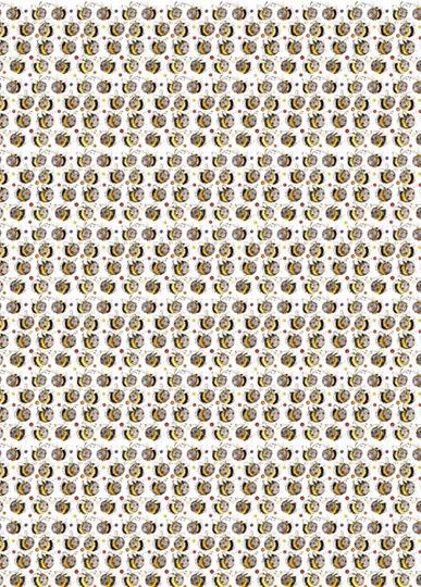 Bild von BEES GIFT WRAP