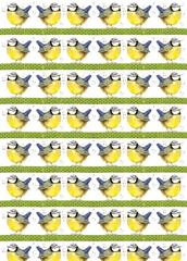 Bild von BLUE TIT GIFT WRAP