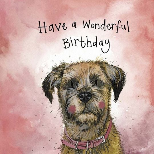 Bild von SUNSHINE ROSE BIRTHDAY FOIL CARD