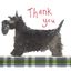 Bild von THANK YOU DOG CARD