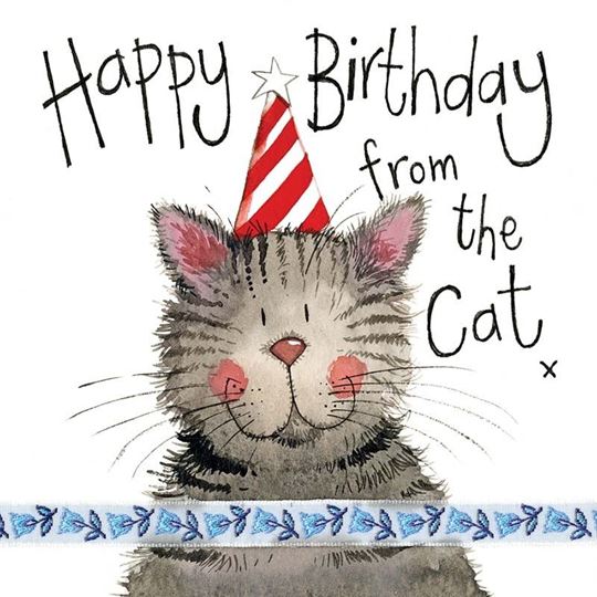 Bild von STRIPY HAT BIRTHDAY CARD