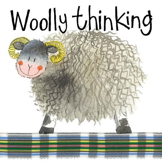 Bild von WOOLLY THINKING MINI MAGNETIC NOTEPAD