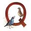 Immagine di Q ALPHABET TILE