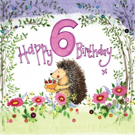 Bild von 6 YEAR OLD WOODLAND BIRTHDAY CARD