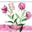 Picture of PEONIES BIRTHDAY CARD