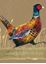 Bild von PHEASANT SMALL KRAFT NOTEBOOK